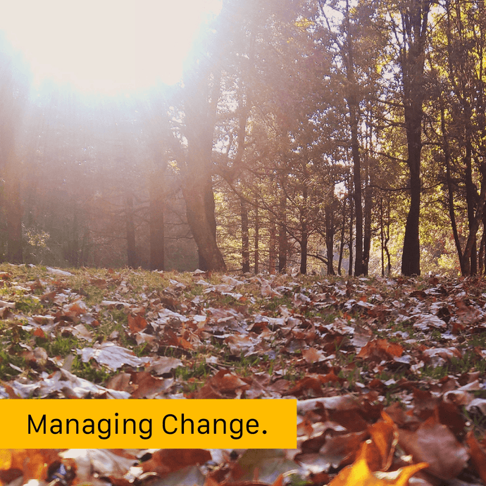 How do you deal with change?