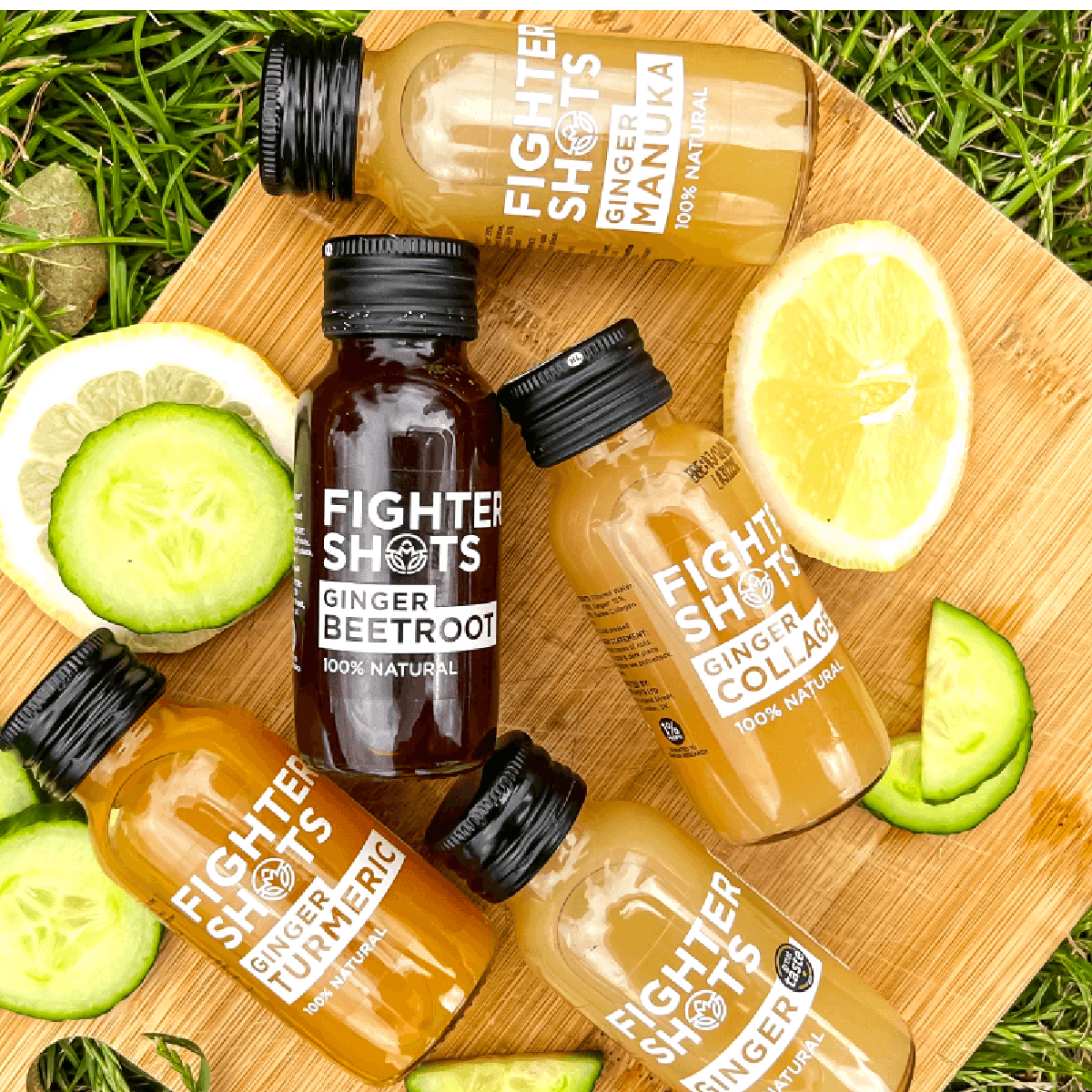 Working at Fighter Shots: My Experience as a Digital Marketing Assistant