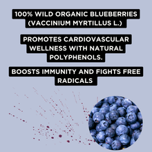 Load image into Gallery viewer, Fighter Shots Wild Blueberry 1 or 12x 60ml | 100% Natural Cold-Pressed Wild Blueberry Shot